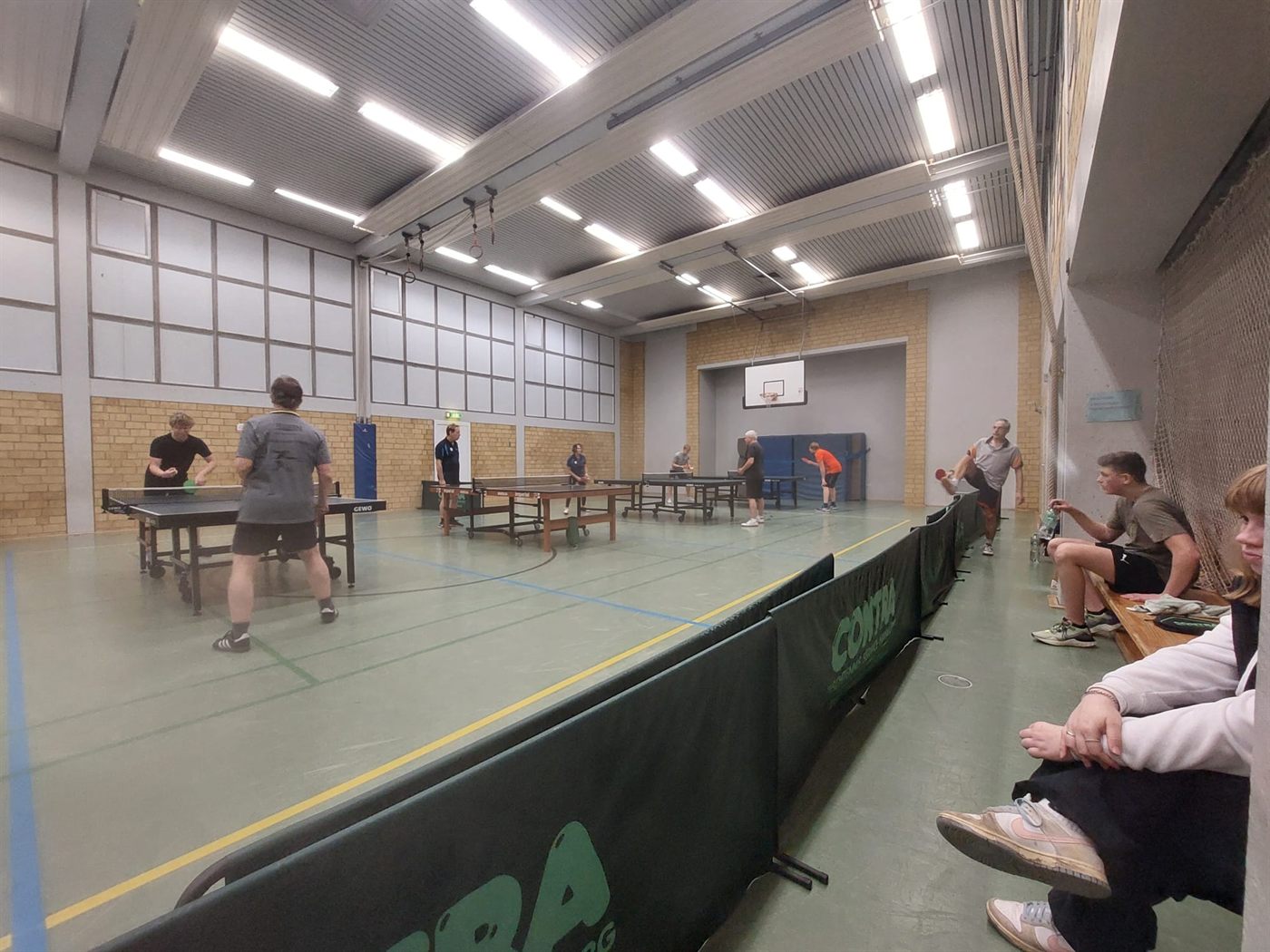 Tischtennisschläger auf einer Platte